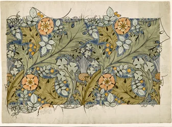 Rosas Tudor, cardos e trevo (wc e lápis sobre papel)